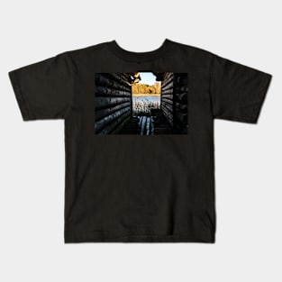 View to the lake, trees and reeds through log huts Kids T-Shirt